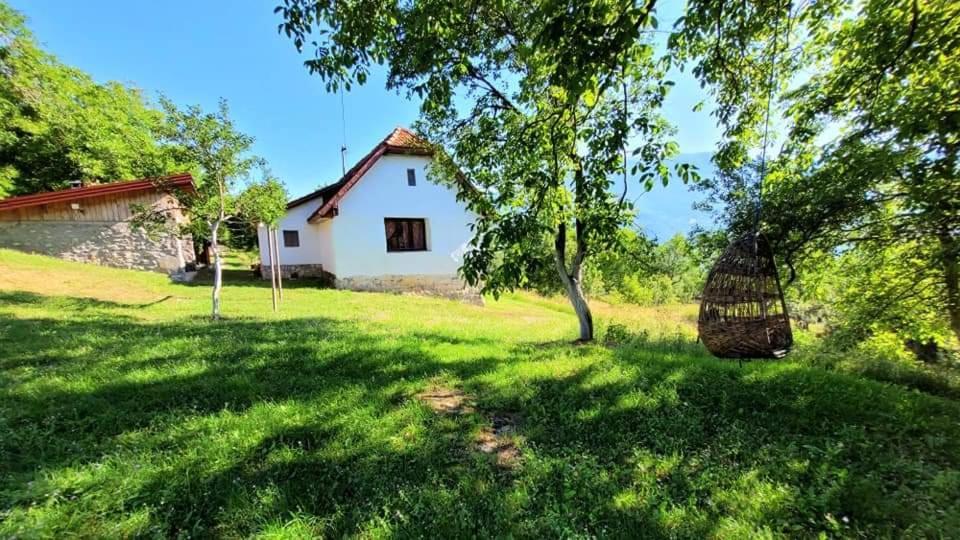 Etno Guest House Lalovic 耶蒂斯特 外观 照片