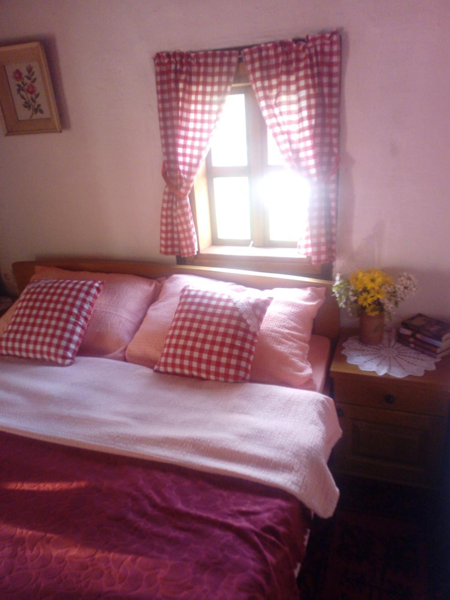 Etno Guest House Lalovic 耶蒂斯特 客房 照片