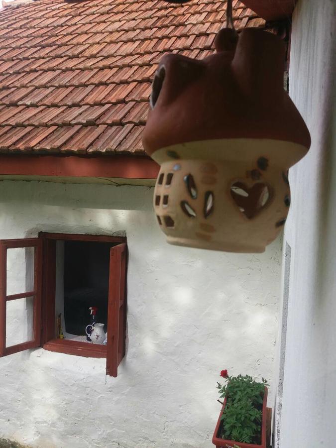 Etno Guest House Lalovic 耶蒂斯特 外观 照片